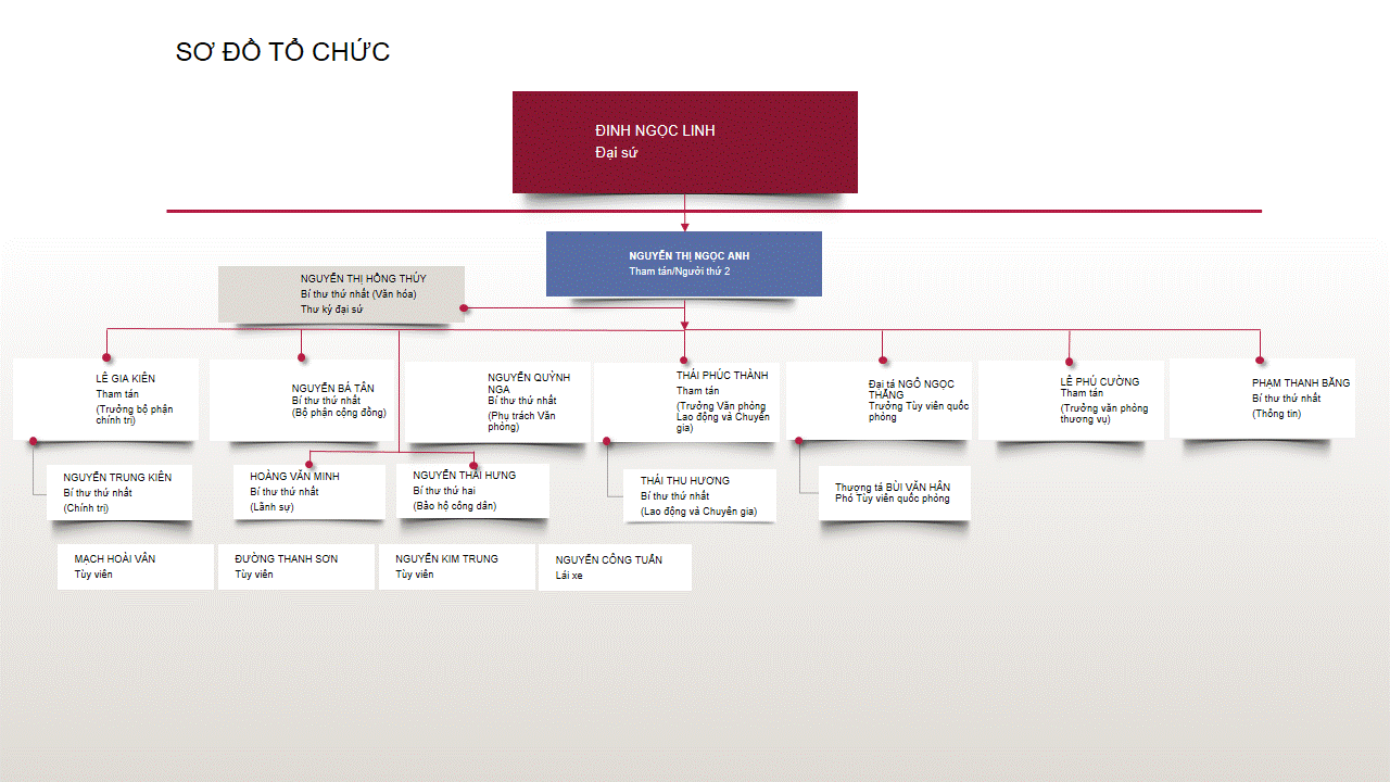 Organization Chart_vn.gif